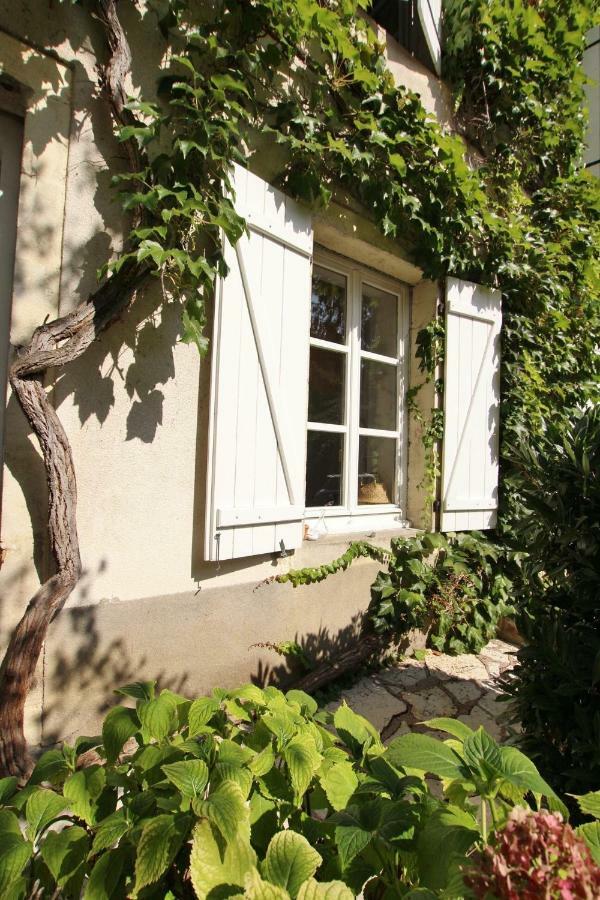 Villa Saint-Georges Везуль Экстерьер фото